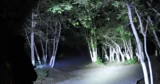 Отличная стена конвоя C8 Импортированный XML2 T6 Song Shind Light Shot 18650 Flashlight 7135*6 Версия