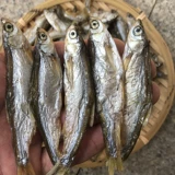 Кошачья еда маленькая рыба сушеные пресноводные кошка рыба сушена