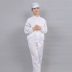 Quần áo chống bụi có ve áo chống tĩnh điện split suit quần áo bảo hộ xưởng thực phẩm không bụi quần áo bảo hộ lao động dây kéo sọc xanh trắng