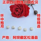 Yixintang Sichuan Wild Sichuan Beisongba Pearl Pearl Pekawa Fritillaria 50G Продвижение бесплатной доставки