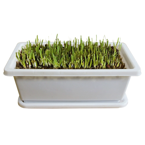 DIY HOTED Living Leek может собирать более 3 стержных желтых балковых балконов.