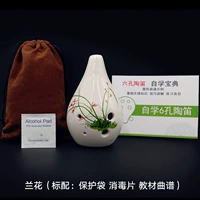 AF ORCHID