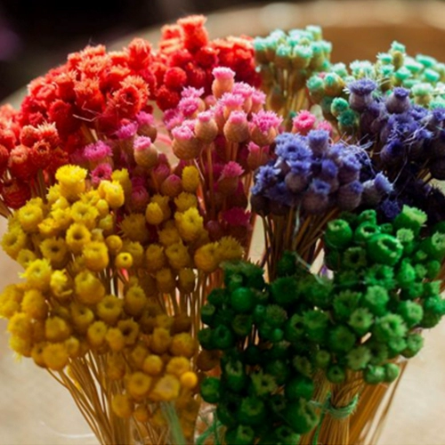 Qiaoqiao diy crystal platinium cubs сухой цветок