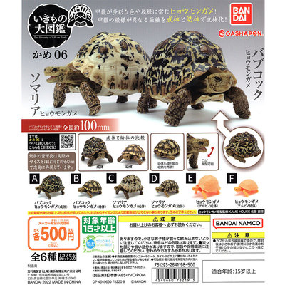taobao agent There are goods Gacha Bandai Biological Biotech 6 simulation assembly can move turtle crocodile turtle turtle young turtles