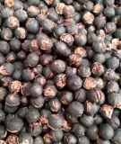 Новые товары Lin'an Hand -peebu Mountain Walnut Bag 250g Маленький ореховый ядер беременные женщины закуски с орехами орехи и сухофрукты