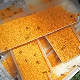 2023 Свежий мокрый порошок чистый натуральный подлинный 500 г съедобные пчелиные фермерские фермы фермерские стены лотос