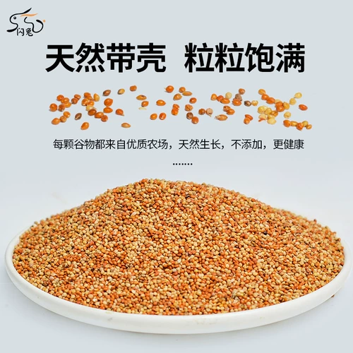 Tiger Parrot Feed Bird Food Peony Mudan Peony Food Bird Birds Bird