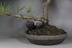 Phân bón hộp ngọc phân bón hộp nguồn cung cấp vườn hình cầu phân bón hộp hộp nhựa bonsai đặc biệt chất lượng cao chống lão hóa dụng cụ làm vườn mini Nguồn cung cấp vườn