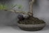 Phân bón hộp ngọc phân bón hộp nguồn cung cấp vườn hình cầu phân bón hộp hộp nhựa bonsai đặc biệt chất lượng cao chống lão hóa Nguồn cung cấp vườn