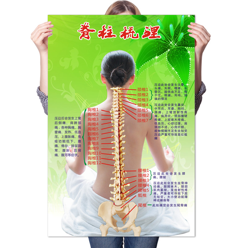 天津正骨行业的最新动态与发展前景
