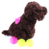 Pet flower hình tắm massage bàn chải Teddy vẻ đẹp tắm làm sạch con chó tạo tác cát bath nguồn cung cấp bàn chải lược chải bông lông chó	 Cat / Dog Beauty & Cleaning Supplies