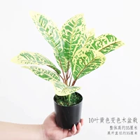 Флуоресцентный желтый 10 -листовый желтый деревянный деревянный горшок .jpg