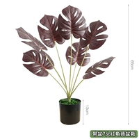 Розовый с бассейном из 7 красных черепах, обратно