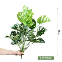 Цветочная черепаха Цинканга