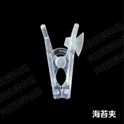 Морские водолабы, морские водоросли, морские водоросли, морские и морские овощи, рыба и зерно, цветная капуста, цветная капуста.