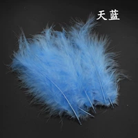 Пакет небо синего огня (50 корней)