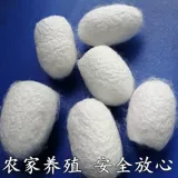 Натуральная красота Mulberry Cocoon Shell с куколками мыть пальцами лица, перекачивание чая, питье шелкового шелкока