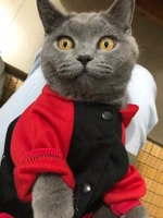 Супермен на пуговица и зимний флисово-красный и черный