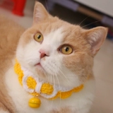 Милый колокольчик, чокер с бантиком, галстук-бабочка, шарф, украшение для ногтей, домашний питомец, кот