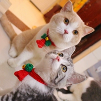 Рождественский колокольчик с колокольчиком, трикотажный милый аксессуар, шарф, чокер, кот, домашний питомец