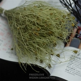 Экспорт Freezelov