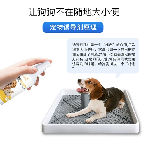 Агент туалета для собак Фиксированное положение -Точка позиционирования и дефекация туалет жидкость