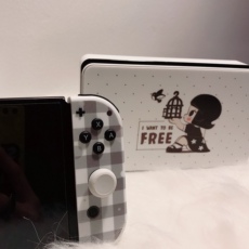 switch主机贴膜 switch贴纸switcholed贴纸switchlite贴纸