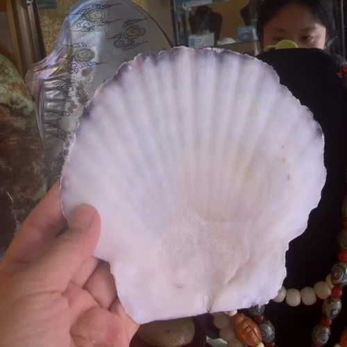 Натуральный сиреневый реквизит для фотографии, аквариум, домашний декор