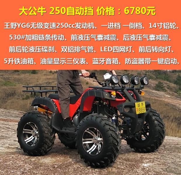 Bull Gasoline (Automatic) 250All terrain size bull ATV Four rounds cross-country motorcycle drive Electric shaft gasoline become double Automatic type a mountain country