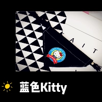 Черный котенок