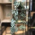 Mô phỏng cao Cây liễu Trang trí đám cưới Lá xanh Mô phỏng trong nhà Hoa Mây Trần Cây Hoa Lá Hoa giả - Hoa nhân tạo / Cây / Trái cây lựu giả Hoa nhân tạo / Cây / Trái cây
