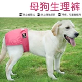 Физиологические штаны с удаленными по шкале для женских собак менструальные подгузники домашние животные тетушка, моча для мытья воды, без влажного золота