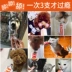 RedDog Red Dog Kem Dinh Dưỡng Dog Cat với Teddy Puppy Cát Mèo Tha Mồi Vàng Chăm Sóc Sức Khỏe Xương Canxi