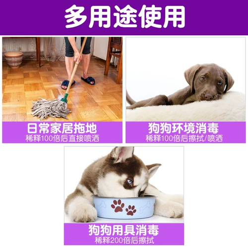Дезинфекция Disinfection Disinfection Disinfection Sweet Pet.