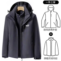 Серый санхе один мужчина