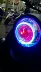 Phiên bản châu Âu của cụm đèn pha rùa nhỏ lắp ráp ống kính thiên thần mắt quỷ Haila Q5 đèn pha đôi đèn xenon để thay đổi mắt cá - Đèn HID xe máy đèn pha siêu sáng cho airblade 125 Đèn HID xe máy