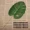 Phong cách châu Âu đơn lưỡi mô phỏng rùa trở lại lá chuối trang trí với lá phụ kiện cắm hoa tường - Hoa nhân tạo / Cây / Trái cây