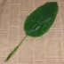 Phong cách châu Âu đơn lưỡi mô phỏng rùa trở lại lá chuối trang trí với lá phụ kiện cắm hoa tường - Hoa nhân tạo / Cây / Trái cây cây xanh giả Hoa nhân tạo / Cây / Trái cây
