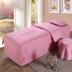 Vẻ đẹp bốn mảnh Hàn Quốc cotton body massage giường bìa đơn giản Châu Âu đơn giản bộ giường bốn mùa phổ tùy chỉnh