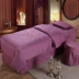 Vẻ đẹp bốn mảnh Hàn Quốc cotton body massage giường bìa đơn giản Châu Âu đơn giản bộ giường bốn mùa phổ tùy chỉnh Trang bị tấm