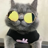 Золотая рама золотые и серебряные линзы