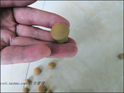 Древний и современный Ziying Yixing Zisha Pot Tool Tool