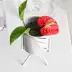 Zuo Mi | Bắc hoa thịt chậu hoa bằng sắt rèn đơn giản khung sắt hoa đứng gốm thủy canh cây nhỏ chậu hoa - Vase / Bồn hoa & Kệ