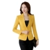 Bộ đồ vest nữ nhỏ tay dài đoạn ngắn 2018 mùa thu mới Hàn Quốc phiên bản tự trồng màu đen hoang dã phù hợp với áo sơ mi chuyên nghiệp các kiểu áo sơ mi họa nữ đẹp Business Suit