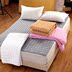 Chống mite Simmons giường pad mỏng giường có thể giặt 褥 1.5m duy nhất không trượt nệm tatami 1.8 đôi Nệm