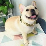 Установка домашних животных B Артефакт собака золотой цепь Fa doubitki corgi Большой, средний подвеска для собак с собачьими украшениями