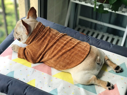 [50 % скидка] Петухолочное образование осень и зимний свитер.