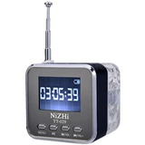 Nigeron TT028 Portable Card Piece Mini Dinger U Disk MP3 -плеер Audio Body FM