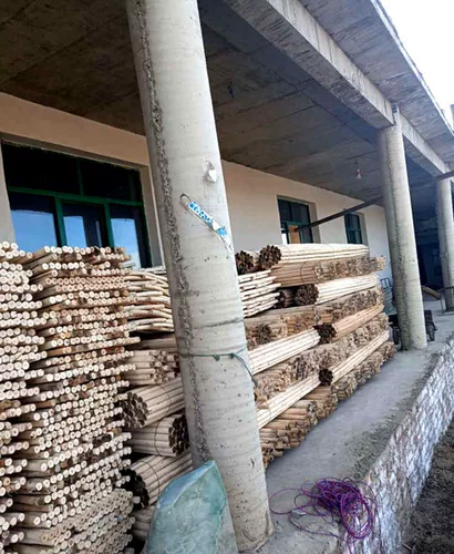 Монгольская свадебная дорога опор