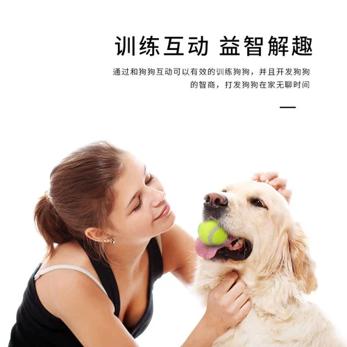 Tear Bone Pet Toy Tennis Small и Dog -Size Dog Corki Teddy Bare Trabilling Игра в бросание игрушек одиночная инсталляция